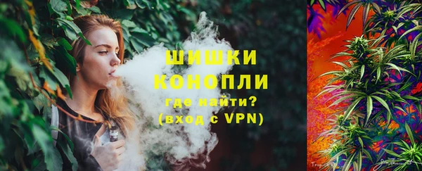 молекула духа Дубна