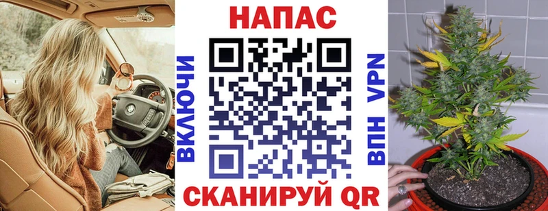 Бошки Шишки планчик  Пласт 